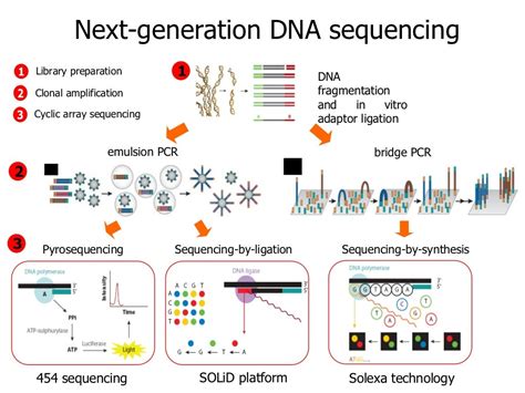 Introduction to next generation sequencing