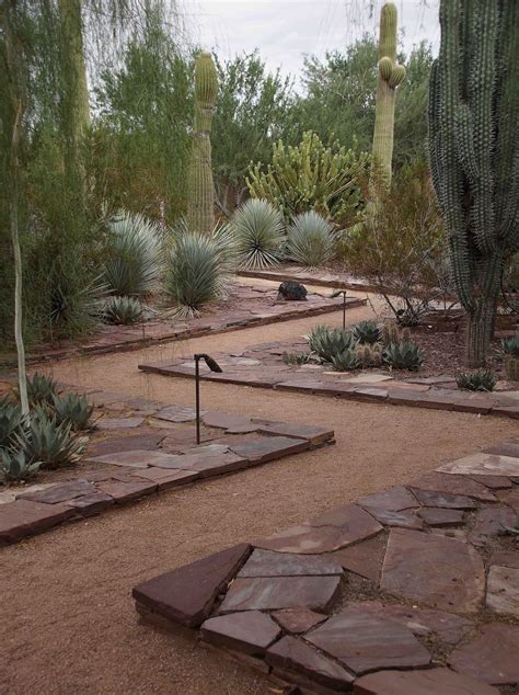 60 Stunning Desert Garden Landscaping Ideas for Home Yard | Backyard landscaping, Desert ...