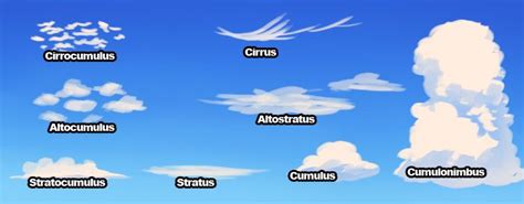 types of clouds | Cloud tutorial, Clouds, Cloud type