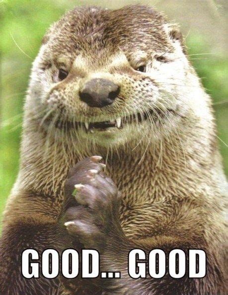 Muahahahahahahaha | Funny animal pictures, Funny animals, Otters funny