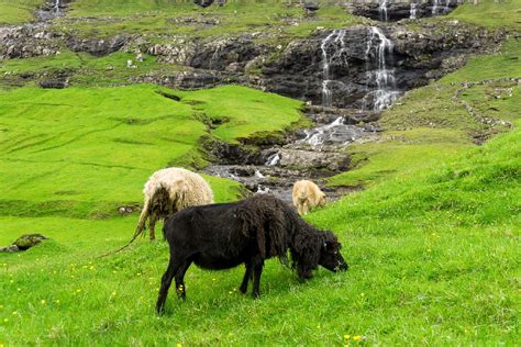 Hiking on Streymoy Island - Faroe Islands