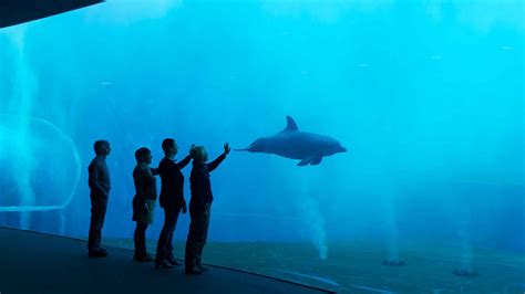 Aquarium of Genoa, Genoa - Book Tickets & Tours | GetYourGuide