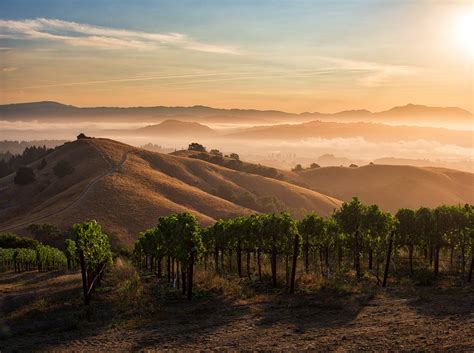 HOME | Russian River Vineyards