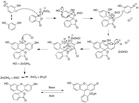 organic chemistry - Fluorescein synthesis - Chemistry Stack Exchange