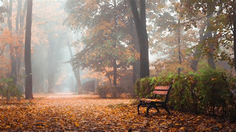 Wooden Bench In Autumn Trees Park HD Nature Wallpapers | HD Wallpapers | ID #47867