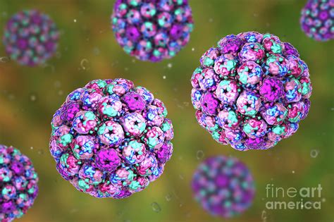 Polyoma Bk Virus Photograph by Kateryna Kon/science Photo Library - Pixels