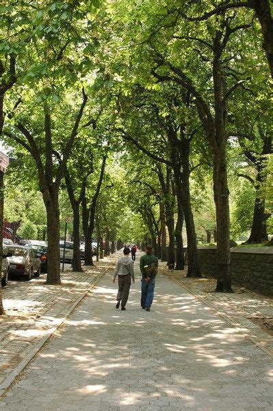 Fort Greene Park : NYC Parks