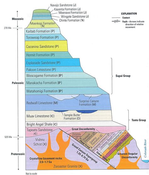 A Century of Fossil Discovery and Research at Grand Canyon | e-Magazine ...