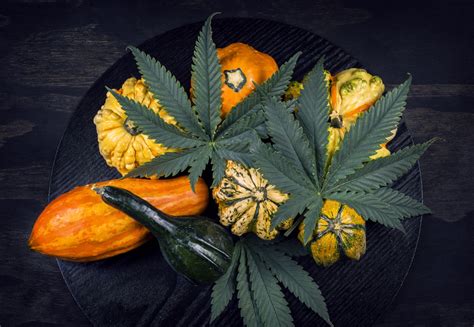 Easy Marijuana Edibles Recipes for Thanksgiving | Westword