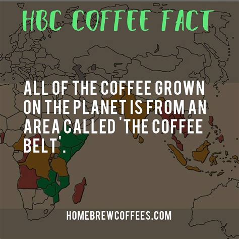 Get to know more about the coffee belt in our blog. | Coffee brewing ...