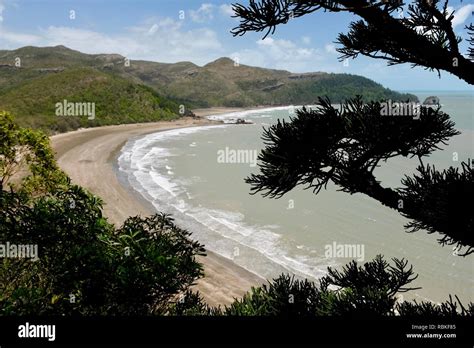 Hiking through Cape Hillsborough National Park, Queensland, Australia Stock Photo - Alamy