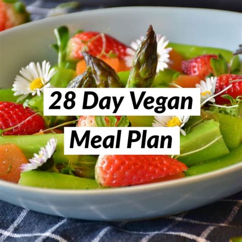 Create a 28 days vegan meal plan by Drveg932 | Fiverr