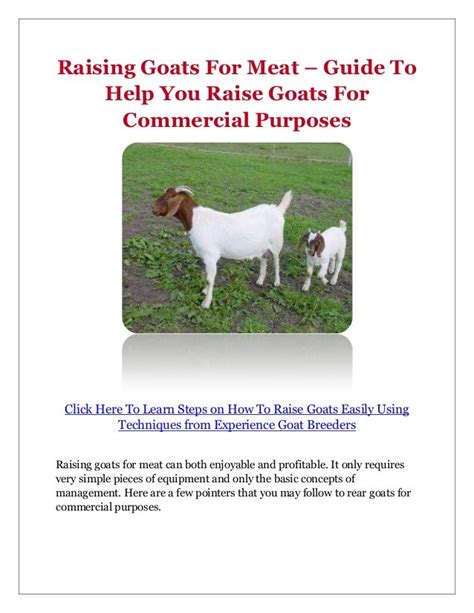 Raising Goats For Meat – Guide To Help You Raise Goats For Commercial…