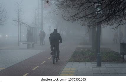 Foggy Weather Stock Photos - 255,711 Images | Shutterstock