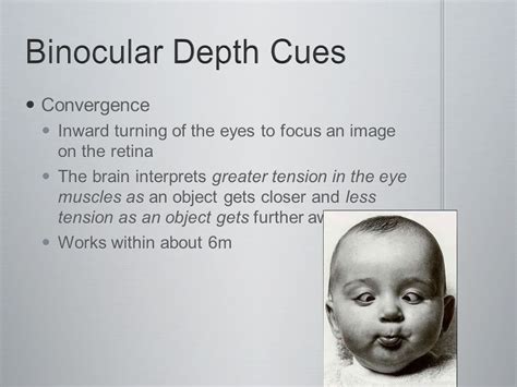 Binocular Convergence