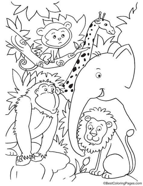 Cute animals in jungle coloring page | Download Free Cute animals in jungle coloring page for ...