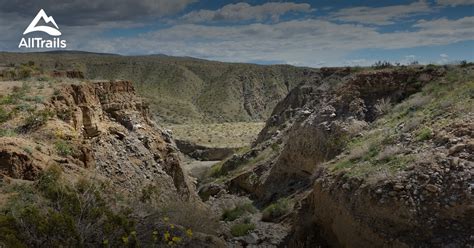 10 Best hikes and trails in Coachella Valley Preserve | AllTrails