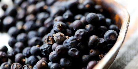 Juniper Berry Recipes: Mulled Wine, Sauces, Jams - Great British Chefs