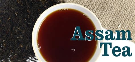 Assam Tea | Benefits of Assam Tea | Assam History | tea-and-coffee.com