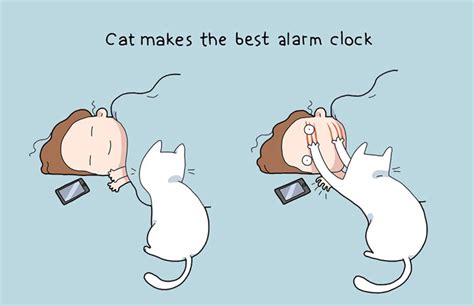 14 Funny Cartoons That Illustrate Living Alone VS Living With A Cat (Or More)