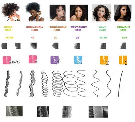 Natural Hair Chart. 4a/4b/4c etc..