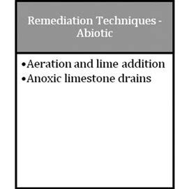 Prevention and remediation techniques for AMD (modified from Johnson ...