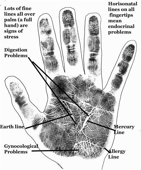 Astrology and Palmistry Portal: Palmistry Hands Charts