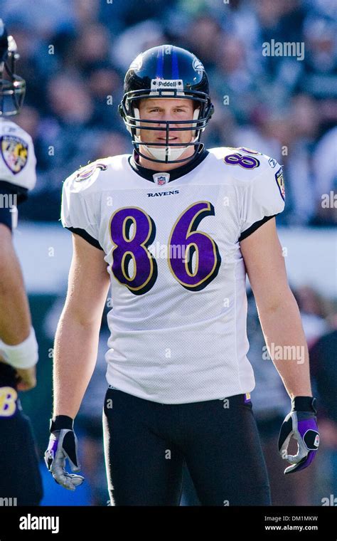 Ravens tight end Todd Heap (86) during game action at the Oakland Stock ...