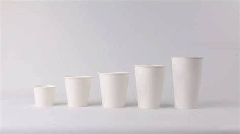 Paper Cup Advertising Demystified: Navigating Size Selection for Maximum Outreach - GingerCup Blog