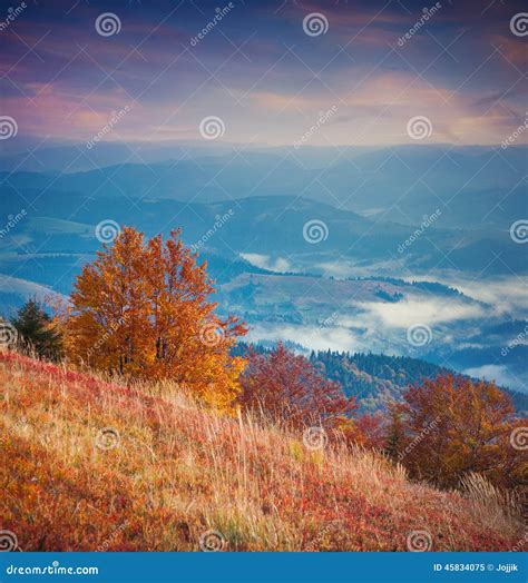 Colorful Autumn Sunrise in the Mountains. Stock Image - Image of nature ...