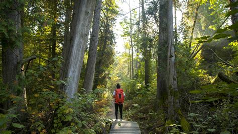 The 5 best hikes in Wisconsin - Lonely Planet