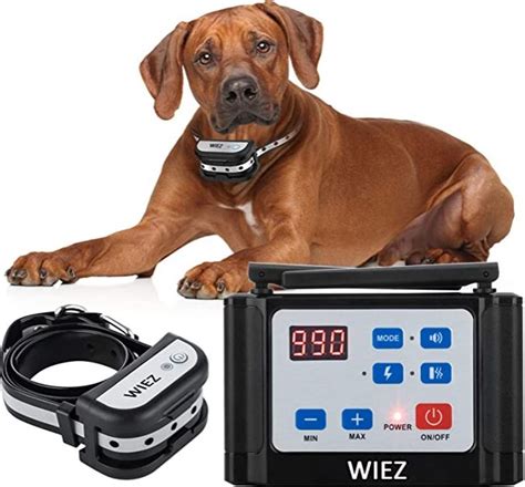 7 Best Wireless Dog Fence & Reviews [2020 Updated] - Pet Life World