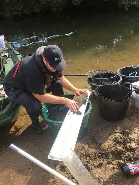 River Ouse fish survey - Isfield & District Angling Club