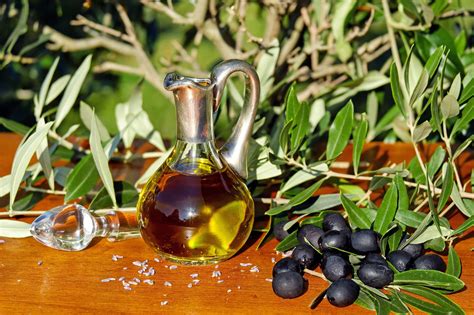 Cold Pressed Olive Oil: The Process Behind It | Selo Olive Oil Blog | Selo Olive Oil