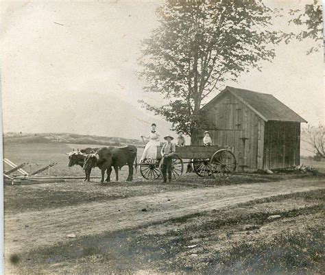 Victorian farm family in oxen-pulled wagon. Late 1800s. | Farm scenery ...