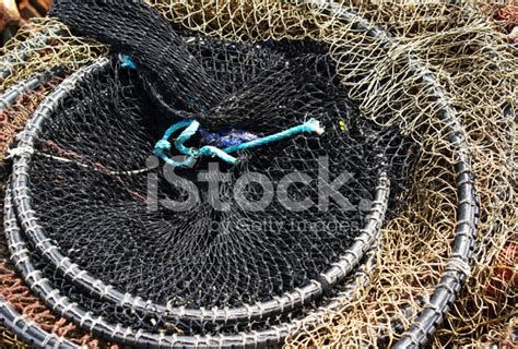 Detail Of Fishing Trap Lying In A Harbor Stock Photo | Royalty-Free ...