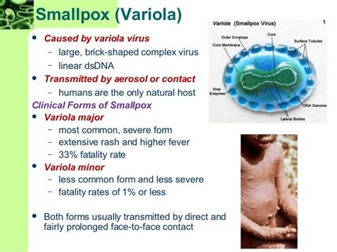 Chapter+5,+25,+37 (microbiology) 8th edition