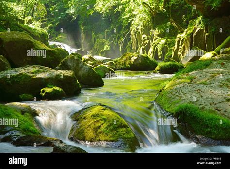 Kikuchi Gorge, Kumamoto Prefecture, Japan Stock Photo - Alamy