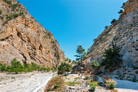 Hiking Trail in Samaria Gorge in Central Crete Stock Image - Image of ...