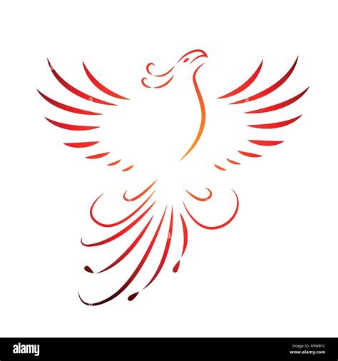 red phoenix rising wings line drawing isolated on a white background ...