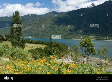 Chile Lake District Stock Photo - Alamy