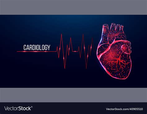 Cardiology concept banner wireframe low poly Vector Image