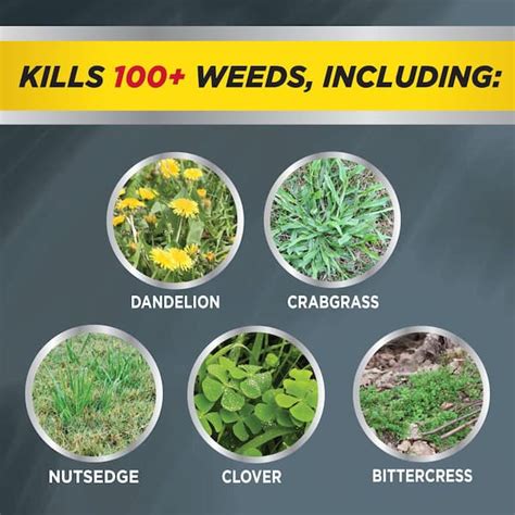 Herbicides All-In-One Lawn Weed Killer Concentrate | Ubuy Botswana