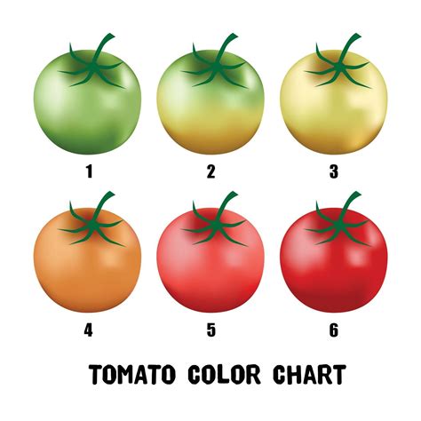 Usda Tomato Color Chart