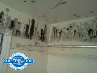 Bathroom Mold Removal | SI Restoration