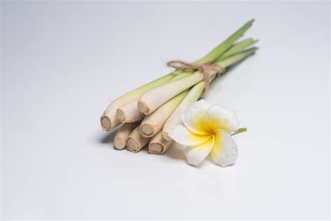 Thai Food, Lemongrass, Lemongrass Stock Photo - Image of healthy, vegetable: 92355786