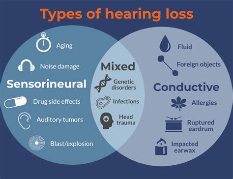 Hearing Aids: The Definitive Guide