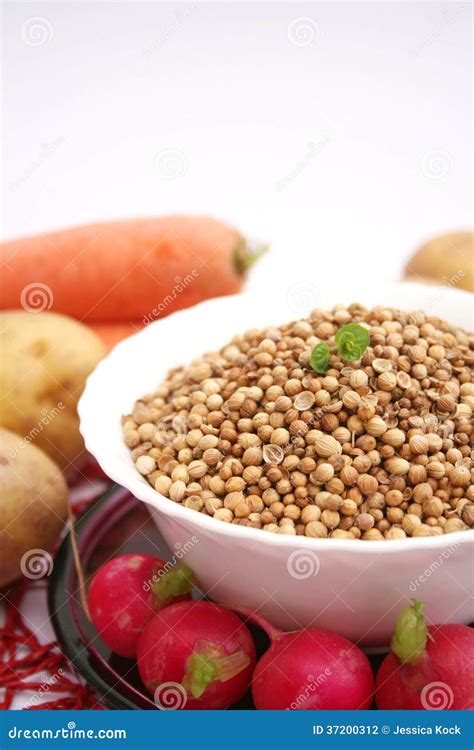 Dried coriander stock photo. Image of produce, spice - 37200312