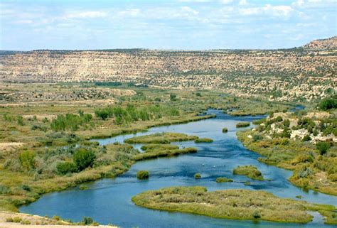 San Juan River. | River fishing, Fishing guide, New mexico