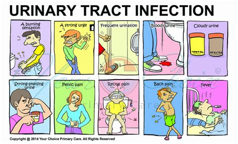 UTI - Your Choice Primary Care (You Choi MD, Internal Medicine)